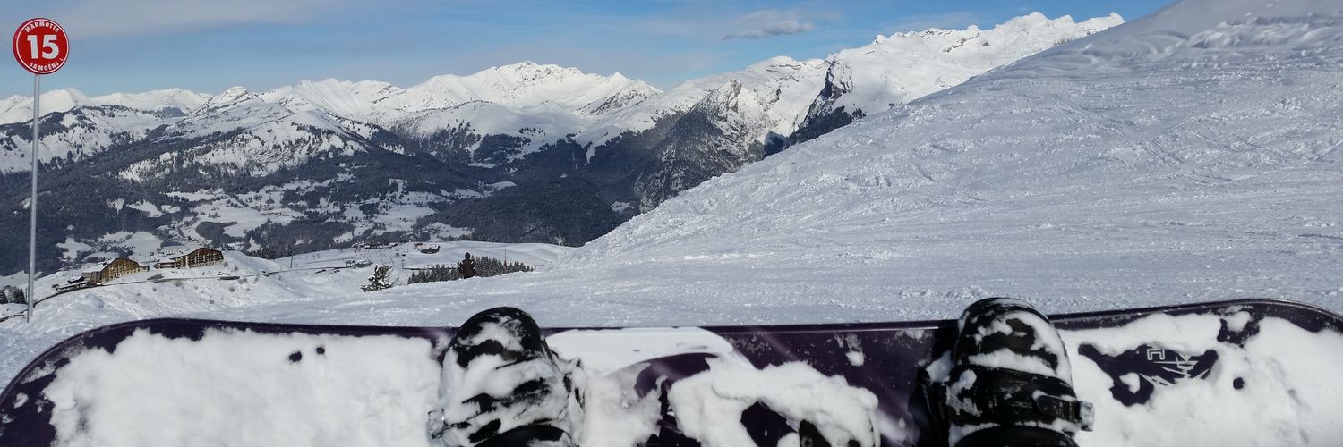 Ali_Ritter's profile banner image