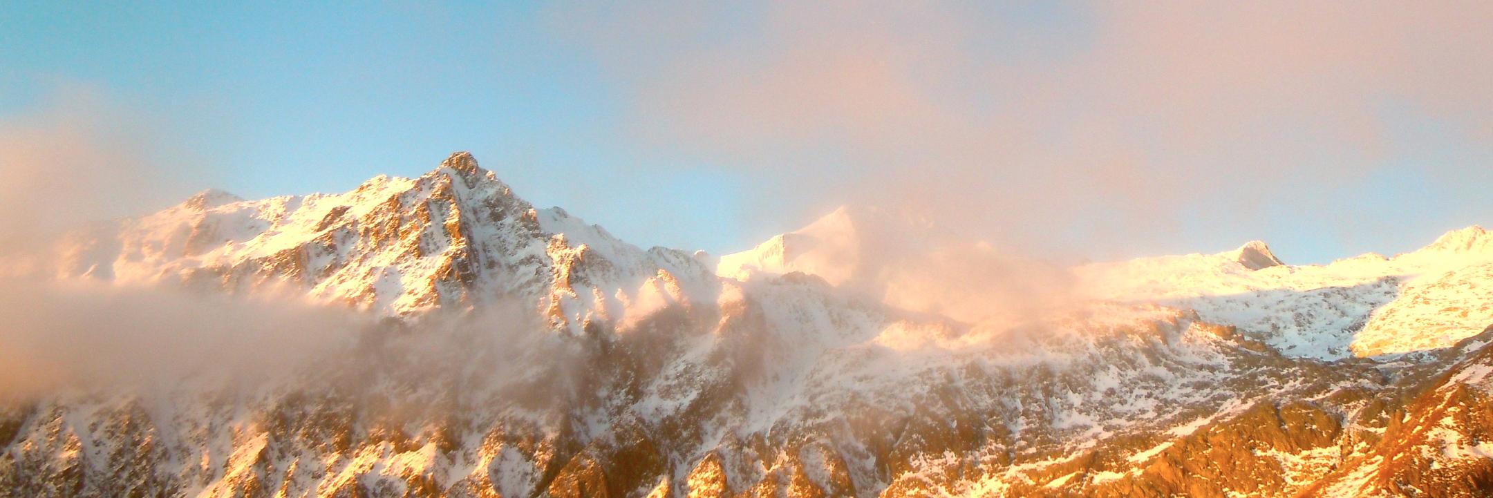 allisoncluett's profile banner image