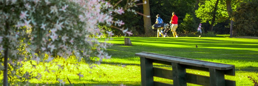 Hendon Golf Club banner