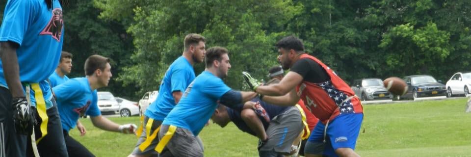 Panthers_HFFL's profile banner image