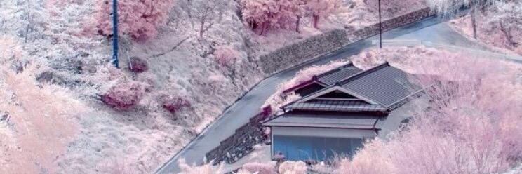 SiJiangs's profile banner image