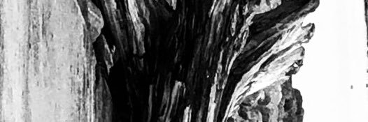 Shaun Farrell banner