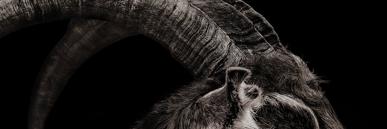 gustavomrocha's profile banner image