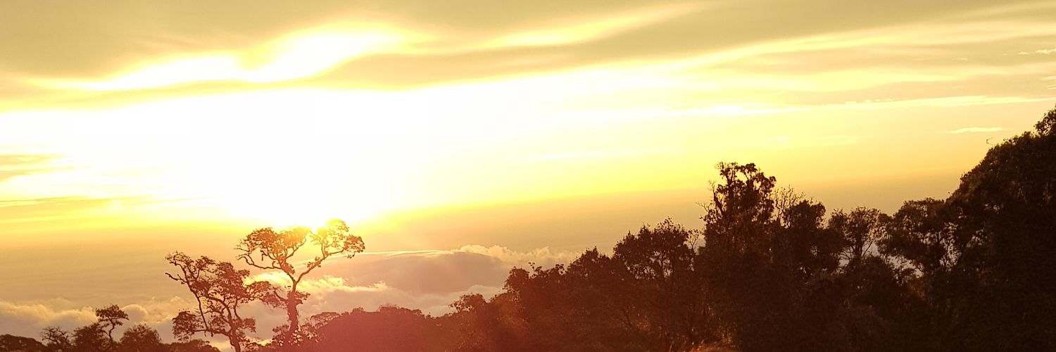 picarmz's profile banner image