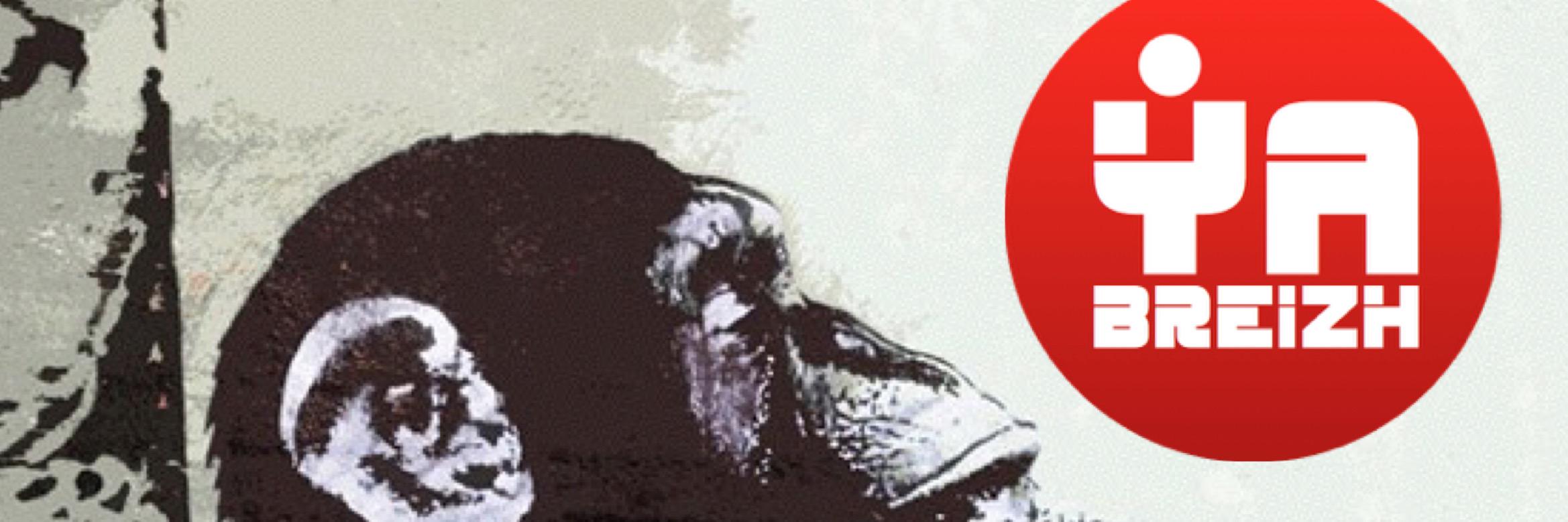 yabreizh's profile banner image
