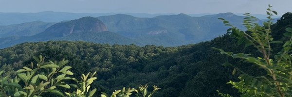 comicaldavid Profile Banner