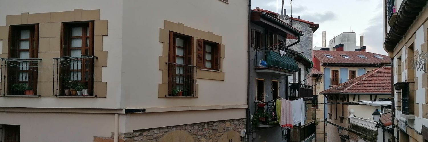 Raquel Sanz banner