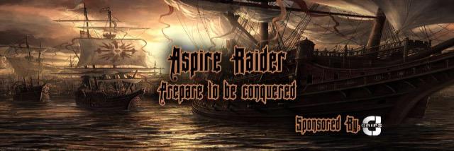 Raider banner