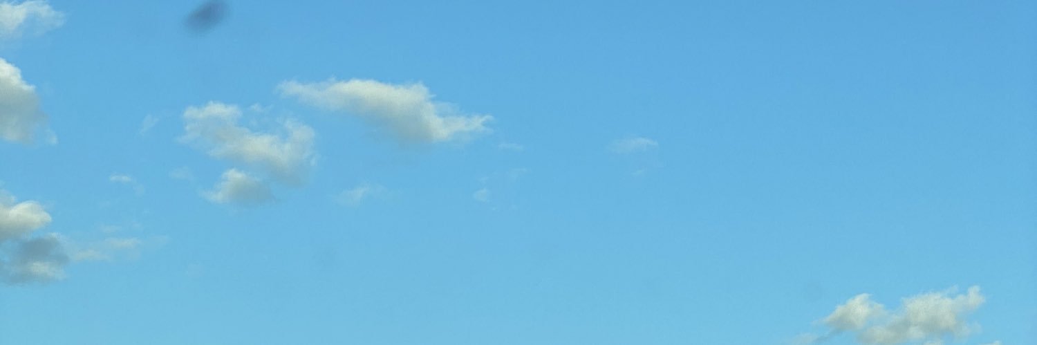 zoeapplewhite's profile banner image