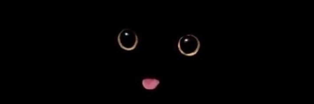 tayer___'s profile banner image