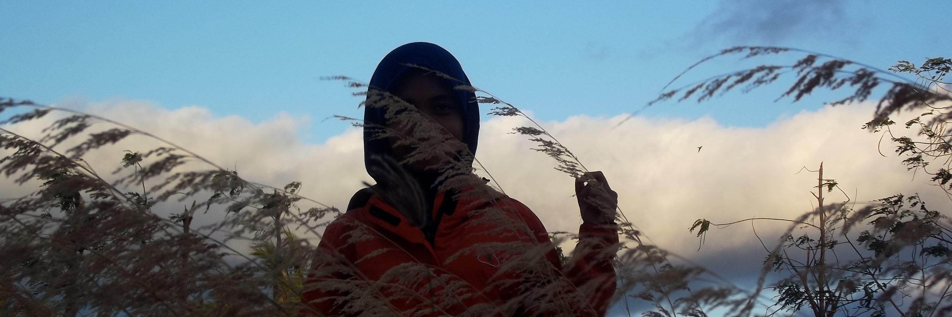 nmsulatin's profile banner image