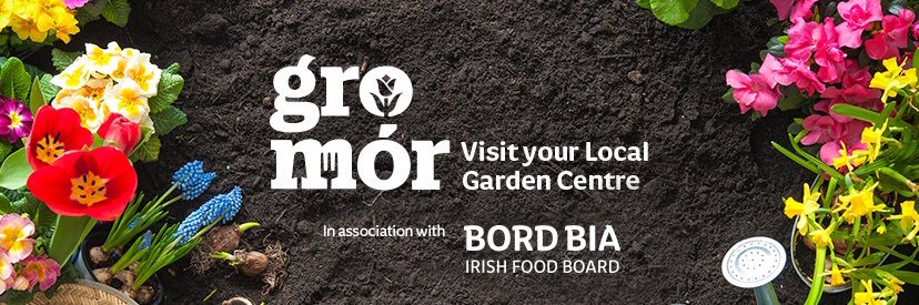 GroMorIreland's profile banner image