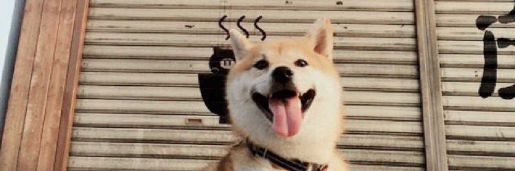 fahthis's profile banner image