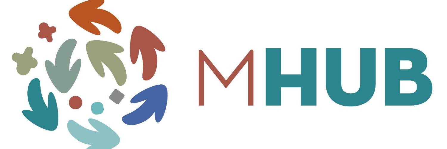 Mixed Migration Hub banner