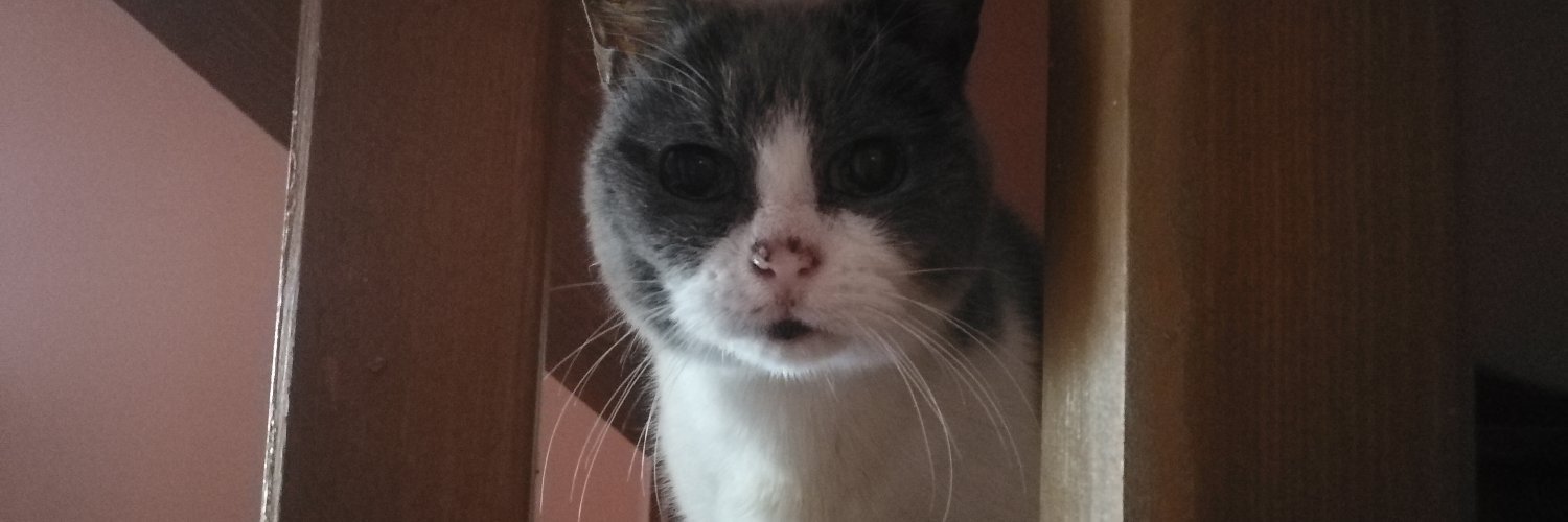 lecomte michèle banner