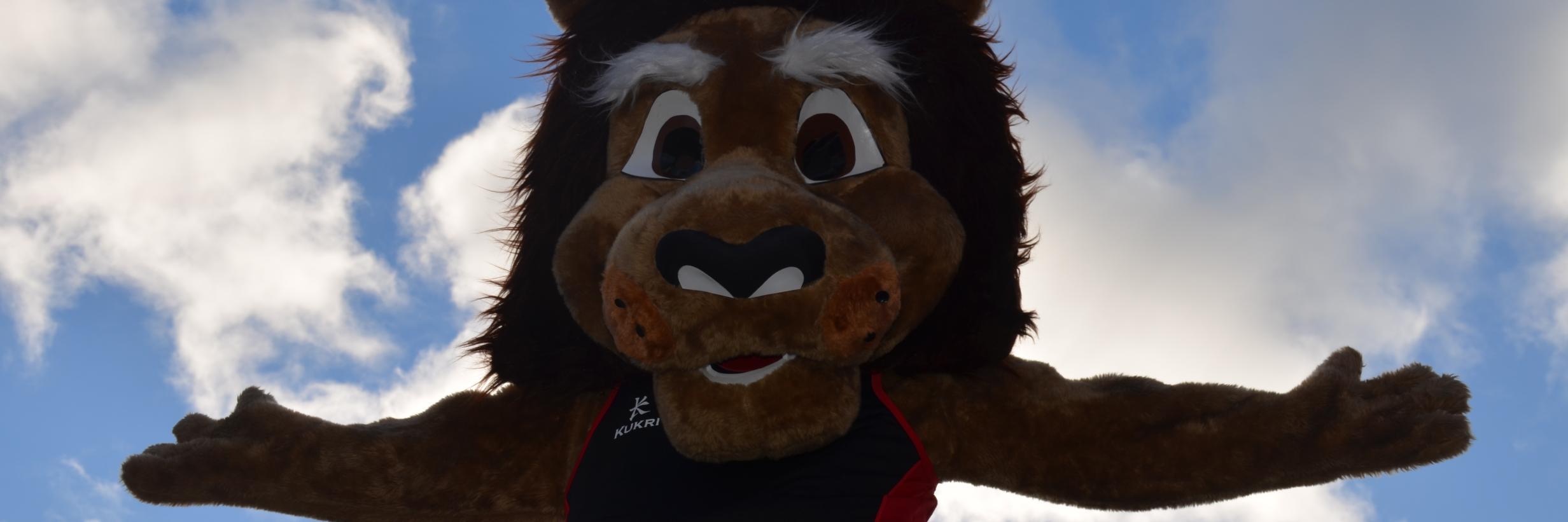 BUCSLion's profile banner image
