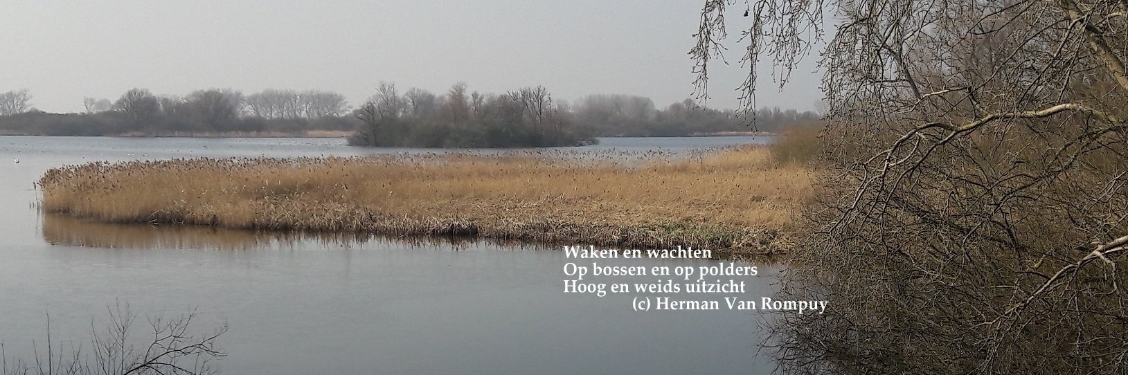 Dirk_Raes's profile banner image