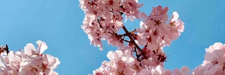 keyyyna96's profile banner image