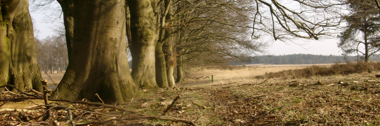 LandelijkVla's profile banner image