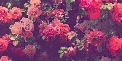 AnnaSnow1005's profile banner image
