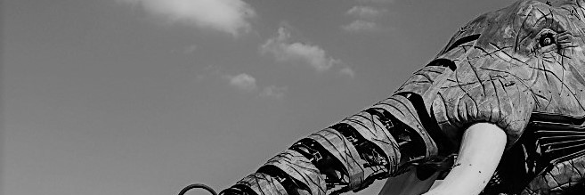 npayneau's profile banner image