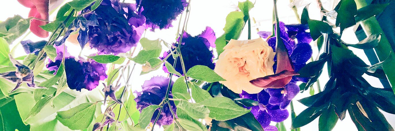 __myv__'s profile banner image