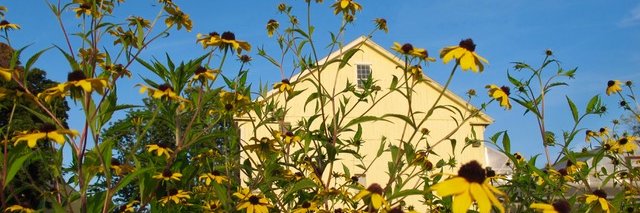 Tangerini's Farm banner