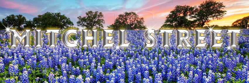 Mitchel_Street's profile banner image