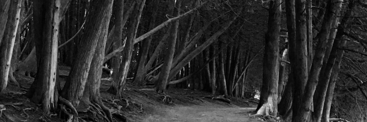 oldmartyr's profile banner image