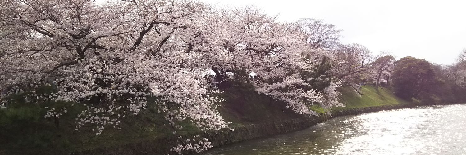 森武 マイ banner