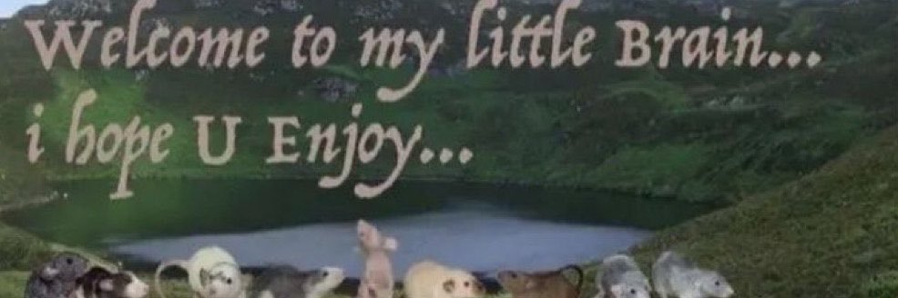 mallorie_alyse's profile banner image