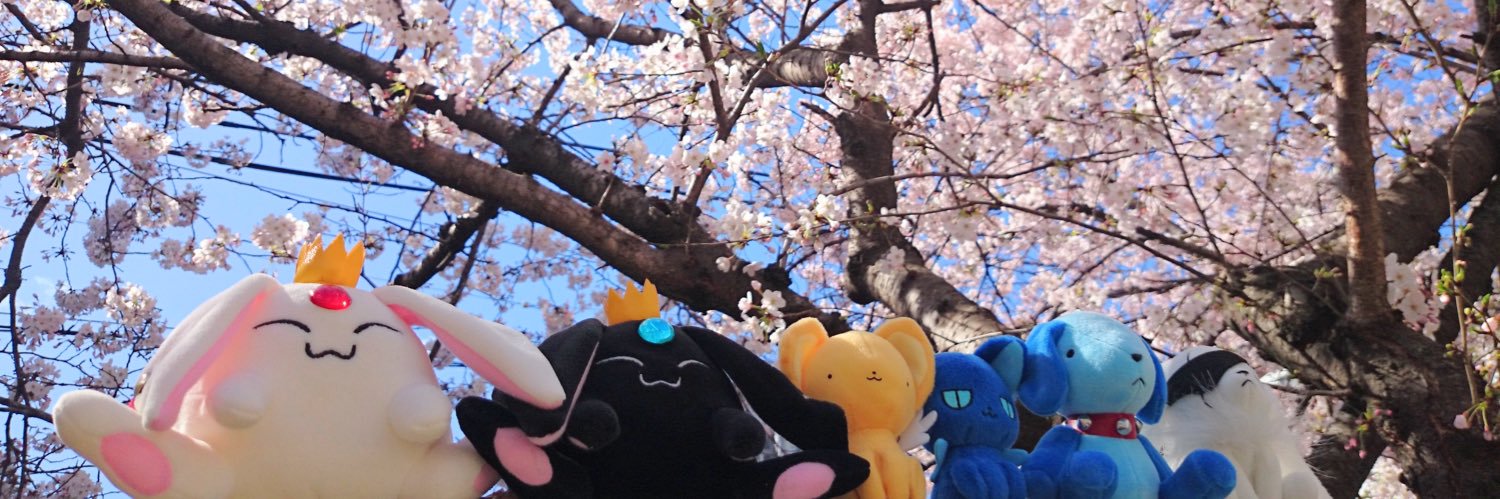 hrtr_66r's profile banner image