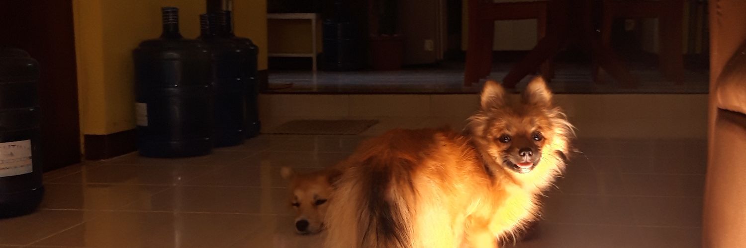 mrynmly's profile banner image