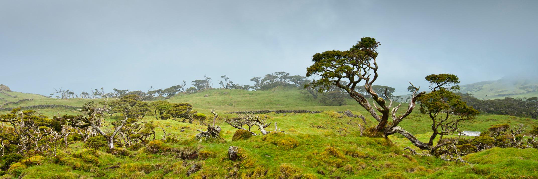 JBfotofilm's profile banner image