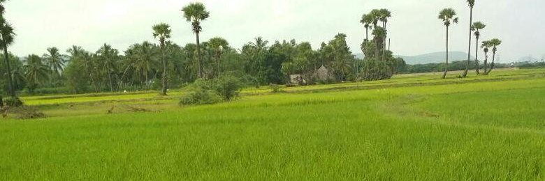 Krishnampalem's profile banner image