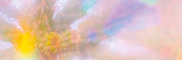 gramecncm Profile Banner