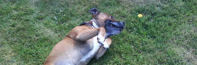 Rudy & Angel Buster banner