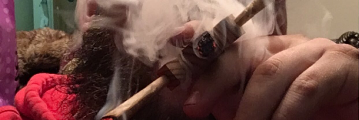 migosaucinn's profile banner image
