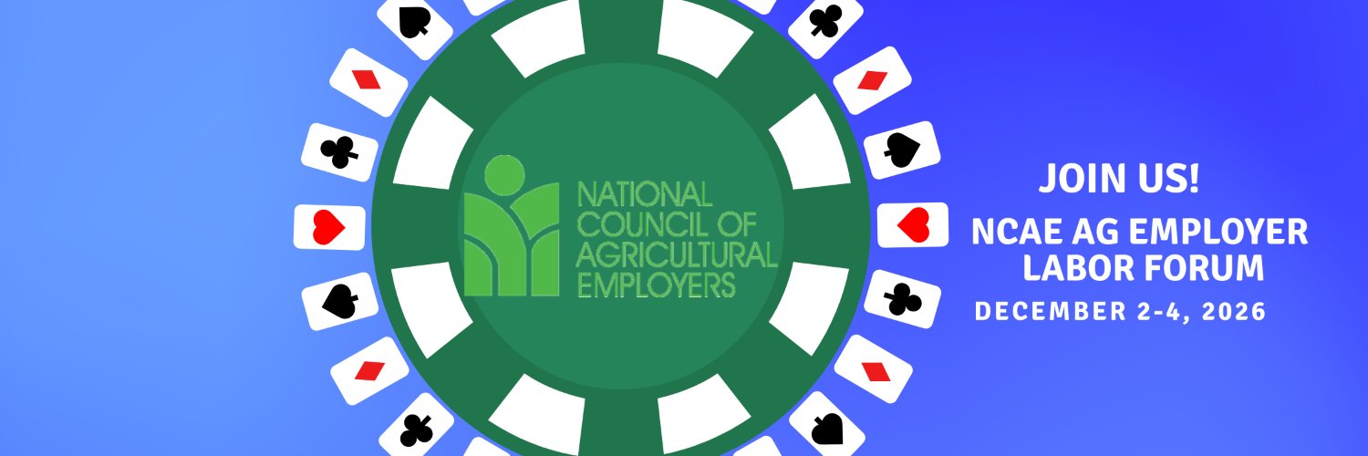 NCAE banner