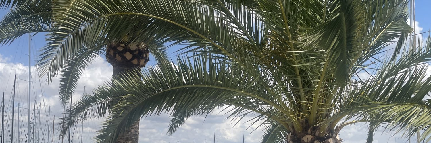 Kitty_OG's profile banner image