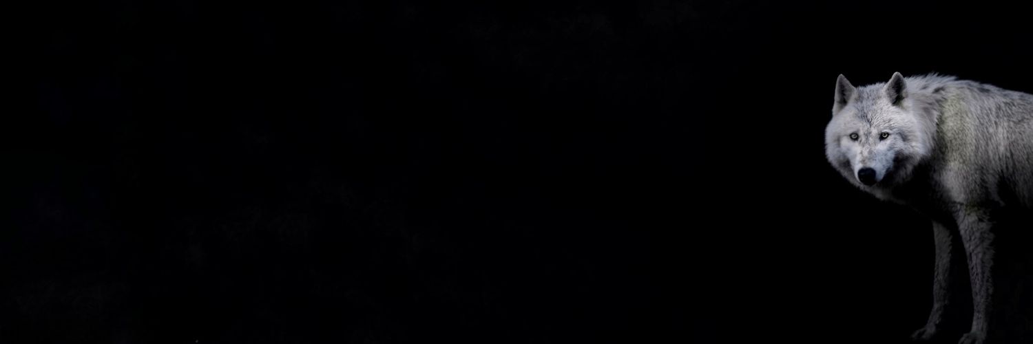 oguzbasaga's profile banner image