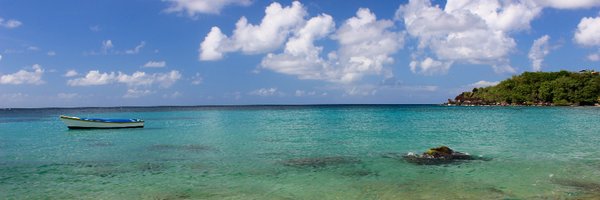 PyneMelanie Profile Banner