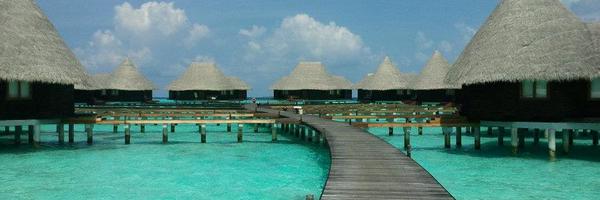 Edillonleetch Profile Banner