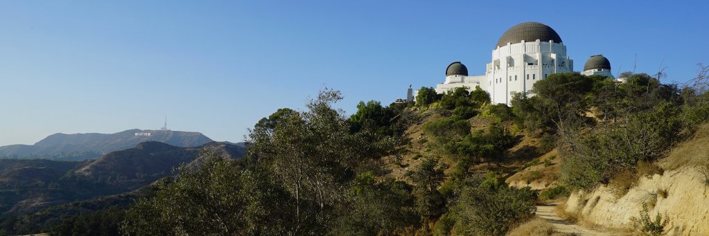 Craig Williams banner