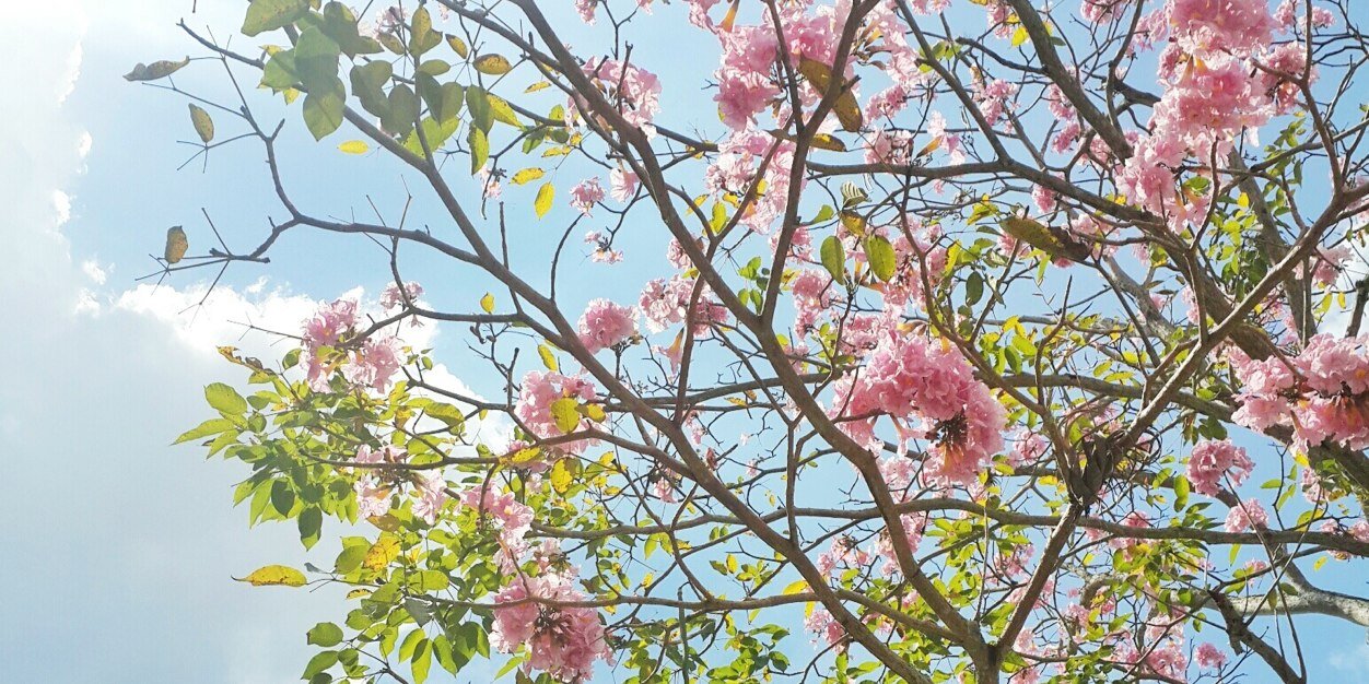 luzandre08's profile banner image