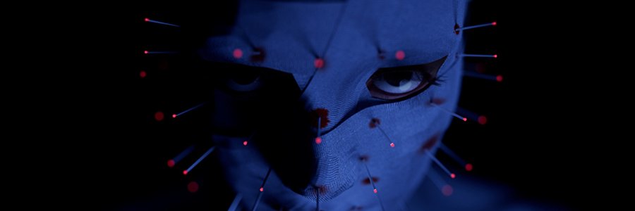 roughcollie.tv banner