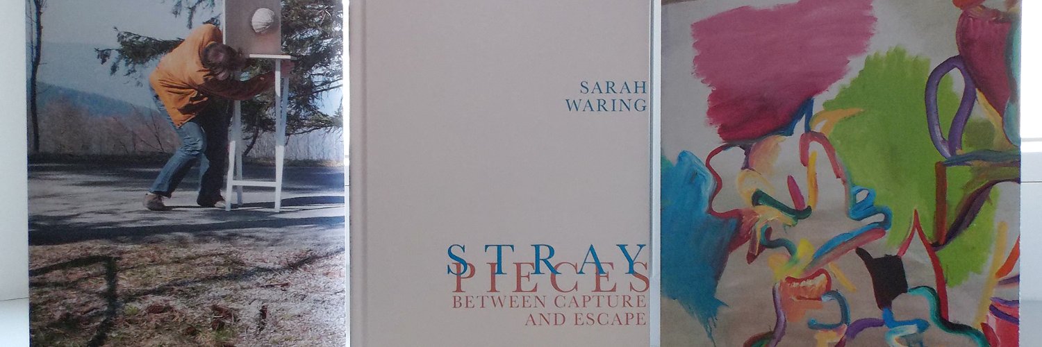 SWaring_writer's profile banner image