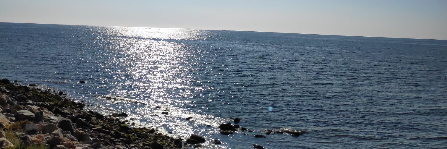 aggosm's profile banner image