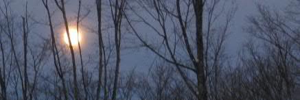 OT_livewell's profile banner image