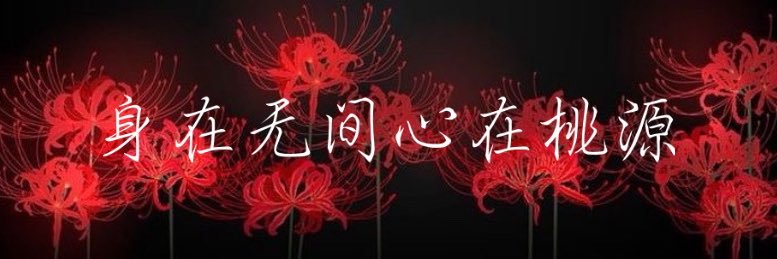 tarclla's profile banner image
